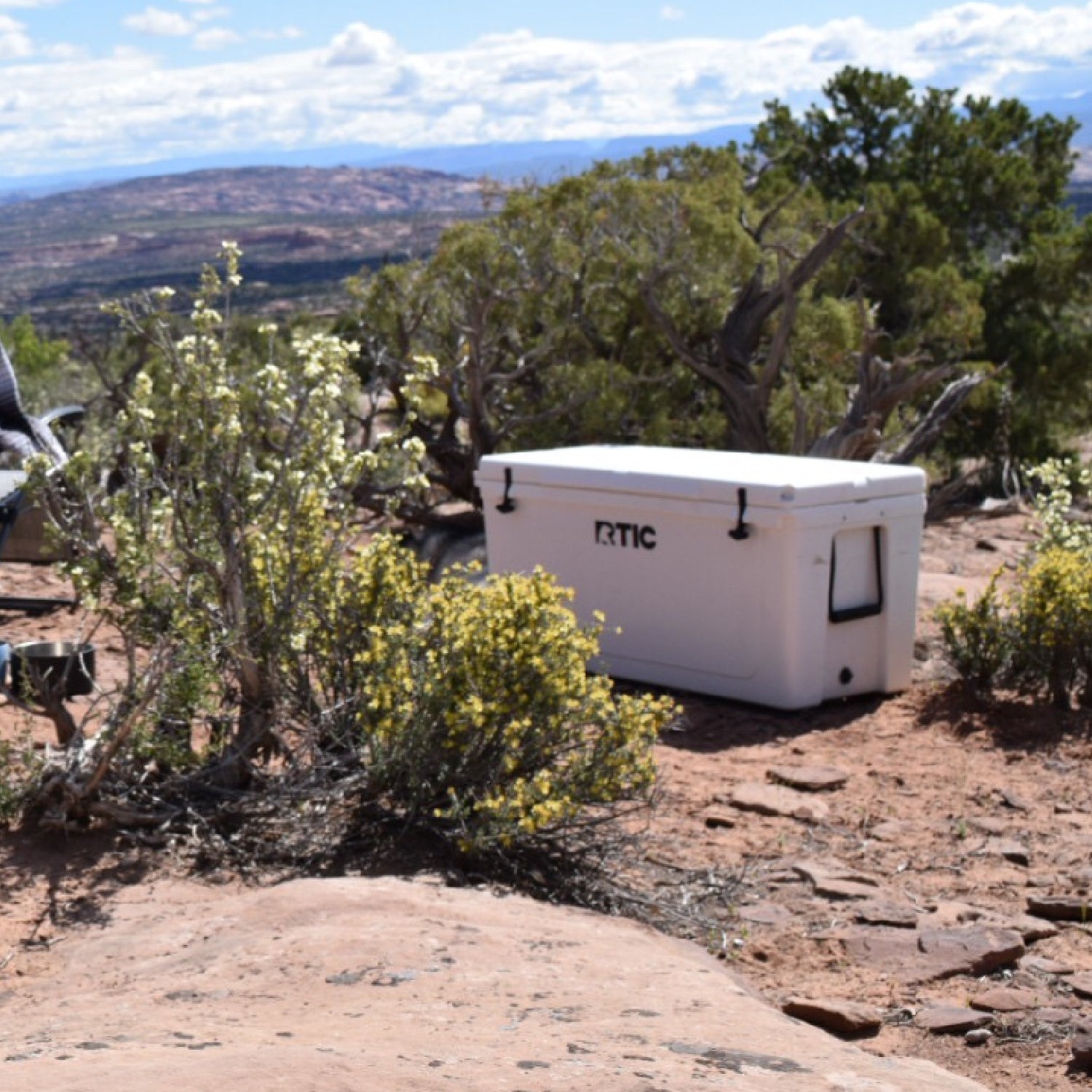 145 QT Ultra-Tough Cooler